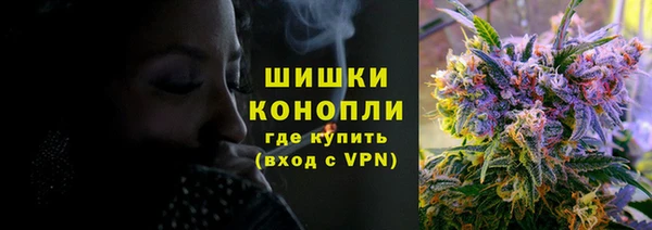 гашик Белоозёрский
