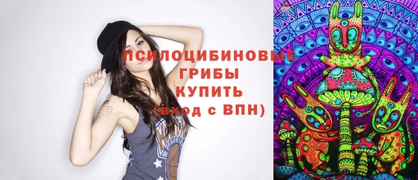 гашик Белоозёрский