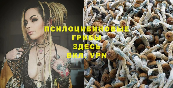 гашик Белоозёрский