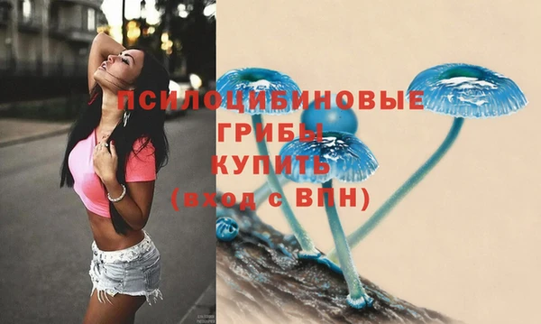 каннабис Белокуриха
