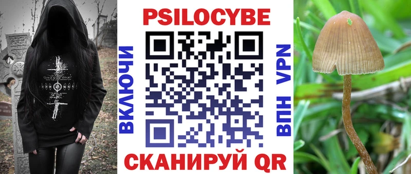 Купить где  Пионерский  Псилоцибиновые грибы GOLDEN TEACHER 