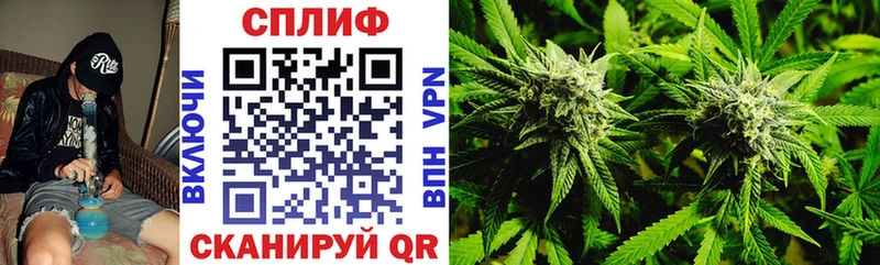 Купить где  Пионерский  Марихуана SATIVA & INDICA 